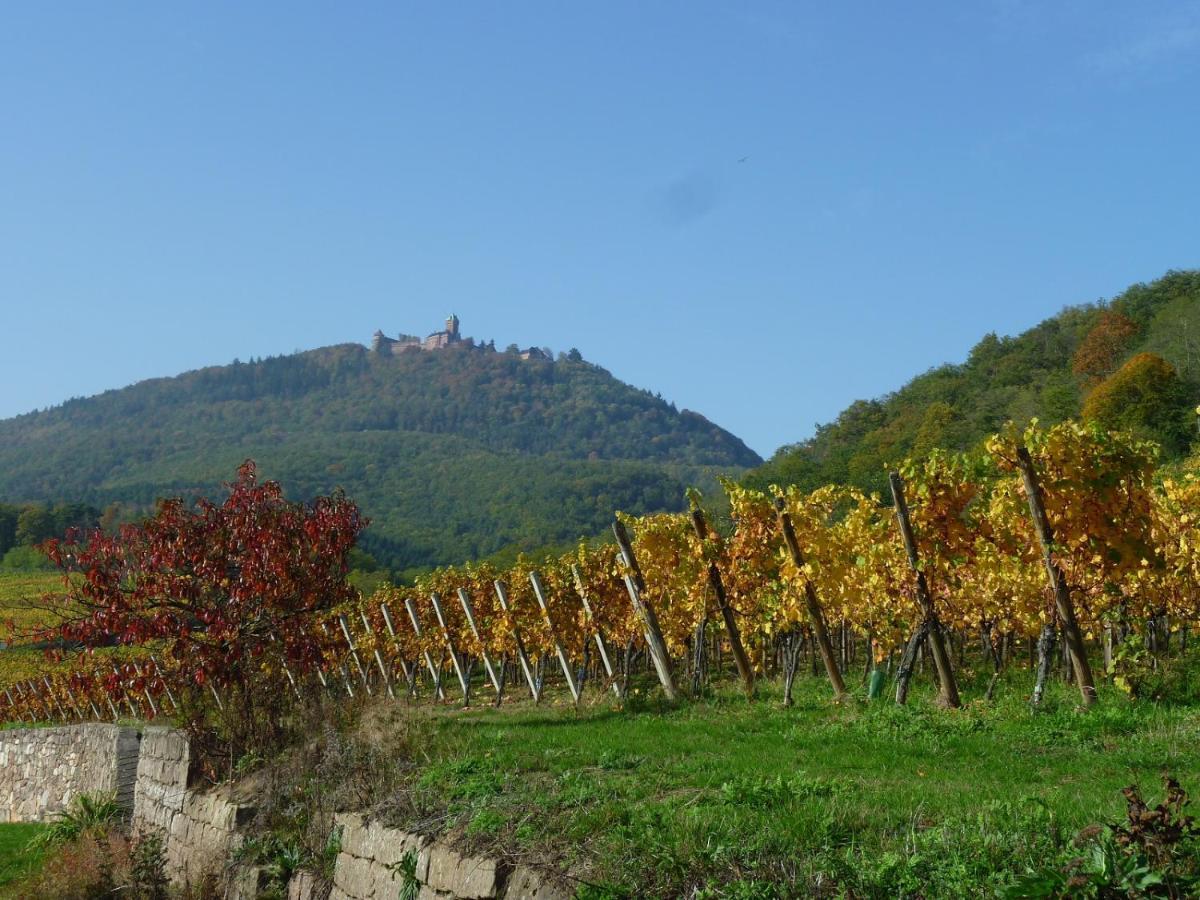 Gite D'Alsace L'Escale Ostheim Exterior photo